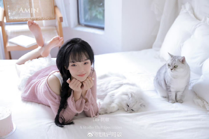 阿甘正传 封面